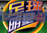 PG电玩黑帮风云投注：揭秘2026年热门玩法与策略，PG电玩黑帮风云投注技巧全解析